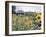 Russian Look of the Land Essay: Field of Blooming Sunflowers on Farm-Howard Sochurek-Framed Photographic Print