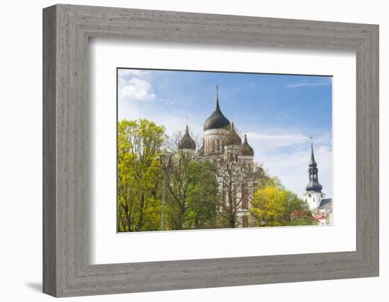 Russian Orthodox Alexander Nevsky Cathedral, St-Nico Tondini-Framed Photographic Print