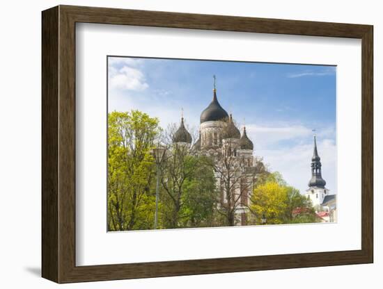 Russian Orthodox Alexander Nevsky Cathedral, St-Nico Tondini-Framed Photographic Print