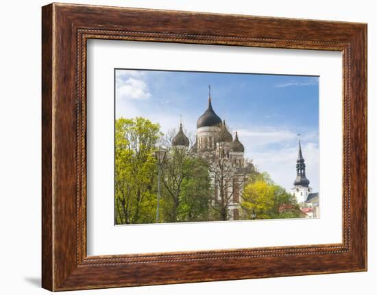 Russian Orthodox Alexander Nevsky Cathedral, St-Nico Tondini-Framed Photographic Print