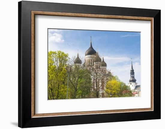 Russian Orthodox Alexander Nevsky Cathedral, St-Nico Tondini-Framed Photographic Print