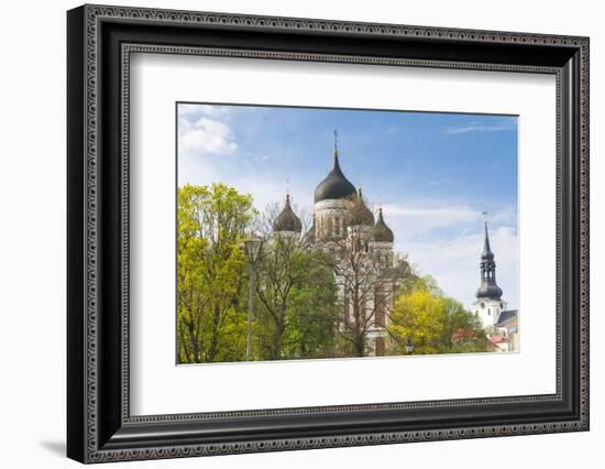 Russian Orthodox Alexander Nevsky Cathedral, St-Nico Tondini-Framed Photographic Print