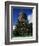 Russian-Orthodox Voskresensky Cathedral-null-Framed Giclee Print