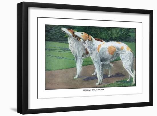 Russian Wolfhound-Louis Agassiz Fuertes-Framed Art Print