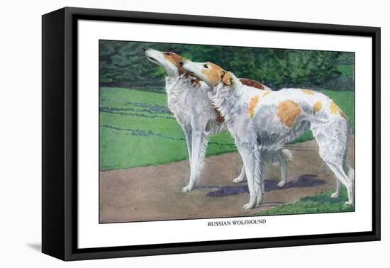 Russian Wolfhound-Louis Agassiz Fuertes-Framed Stretched Canvas