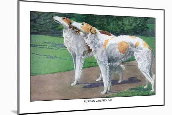 Russian Wolfhound-Louis Agassiz Fuertes-Mounted Art Print