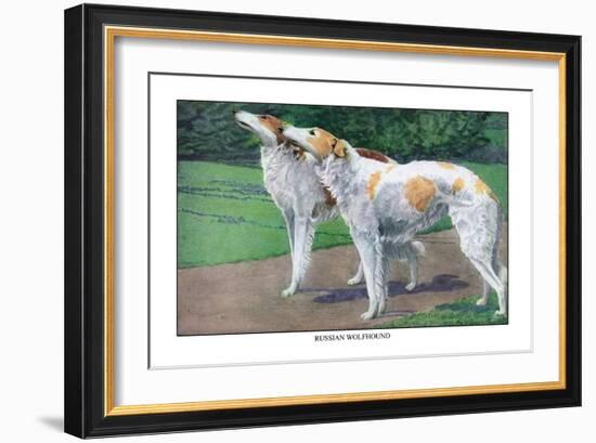Russian Wolfhound-Louis Agassiz Fuertes-Framed Art Print