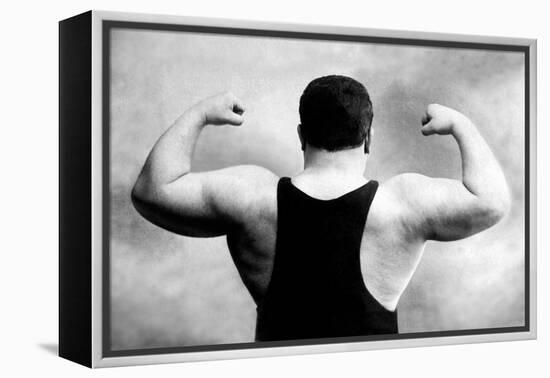 Russian Wrestler's Back and Shoulders-null-Framed Stretched Canvas