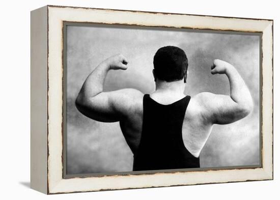 Russian Wrestler's Back and Shoulders-null-Framed Stretched Canvas