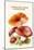 Russula Red-Capped Mushroooms-Edmund Michael-Mounted Art Print