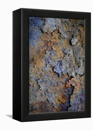 Rust 3-Doug Chinnery-Framed Premier Image Canvas