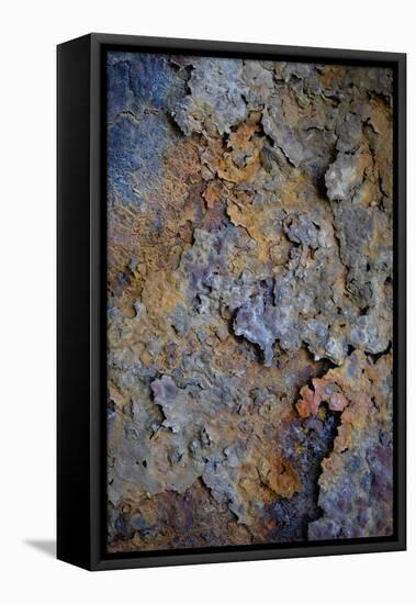 Rust 3-Doug Chinnery-Framed Premier Image Canvas