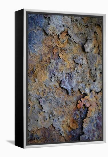 Rust 3-Doug Chinnery-Framed Premier Image Canvas