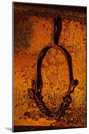 Rust I-Peter Morneau-Mounted Art Print