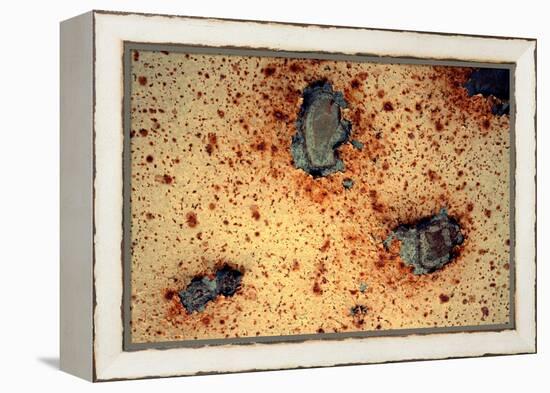 Rust Never Sleeps-null-Framed Stretched Canvas