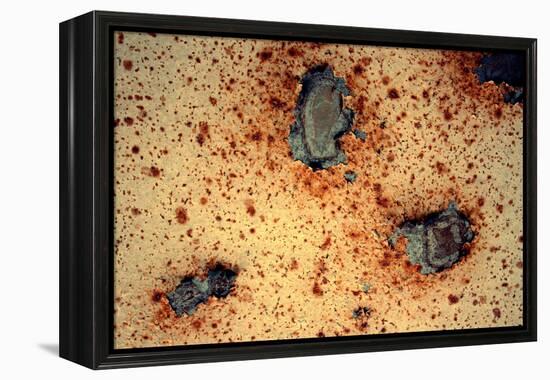 Rust Never Sleeps-null-Framed Stretched Canvas