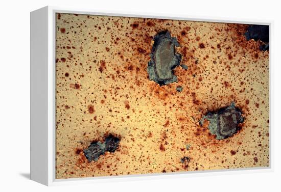 Rust Never Sleeps-null-Framed Stretched Canvas