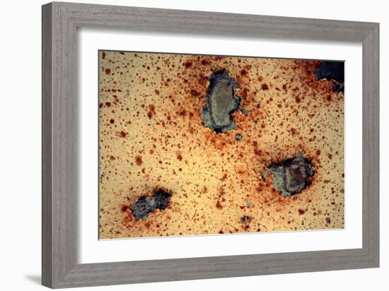 Rust Never Sleeps-null-Framed Photo