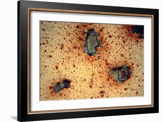 Rust Never Sleeps-null-Framed Photo