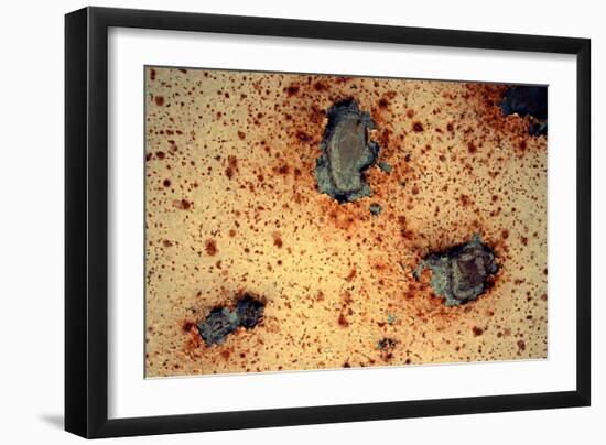 Rust Never Sleeps-null-Framed Photo