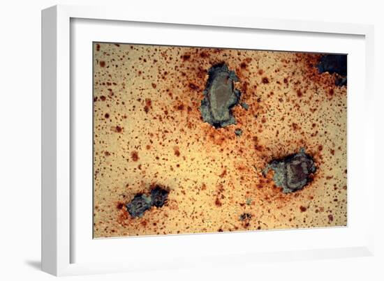 Rust Never Sleeps-null-Framed Photo