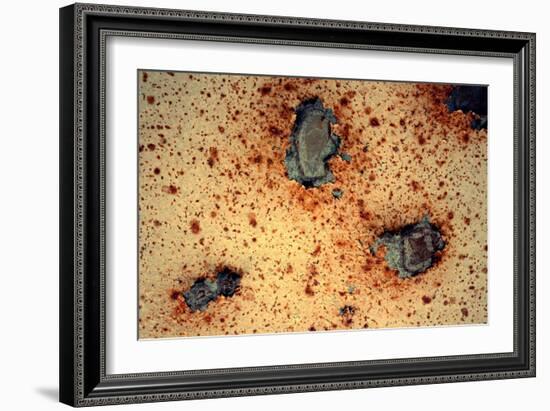 Rust Never Sleeps-null-Framed Photo