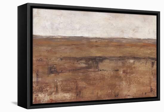 Rust Terrain II-Ethan Harper-Framed Stretched Canvas