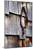 Rust V-Peter Morneau-Mounted Art Print