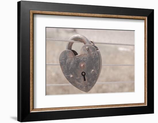 Rust Warm Lock-null-Framed Photographic Print