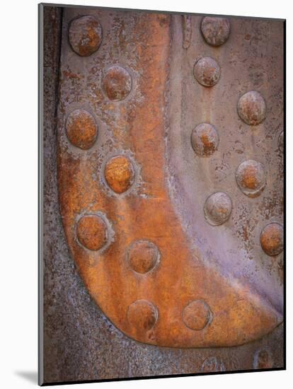 Rusted Rivets-Don Paulson-Mounted Giclee Print