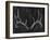 Rustic Antlers II-Ethan Harper-Framed Art Print