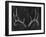 Rustic Antlers II-Ethan Harper-Framed Art Print