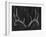 Rustic Antlers II-Ethan Harper-Framed Art Print