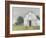 Rustic Barnyard II-Ethan Harper-Framed Art Print