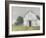 Rustic Barnyard II-Ethan Harper-Framed Art Print