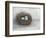 Rustic Bird Nest I-Ethan Harper-Framed Premium Giclee Print