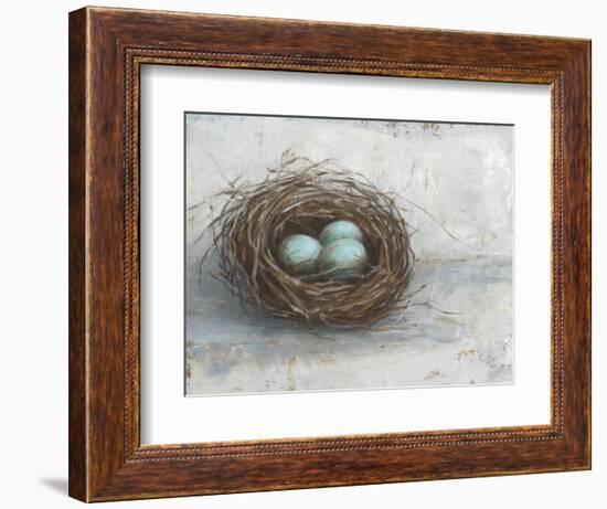 Rustic Bird Nest I-Ethan Harper-Framed Art Print