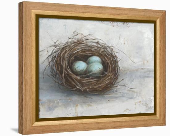 Rustic Bird Nest I-Ethan Harper-Framed Stretched Canvas