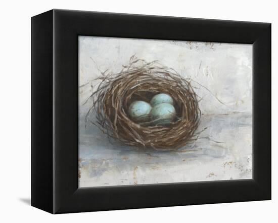 Rustic Bird Nest I-Ethan Harper-Framed Stretched Canvas