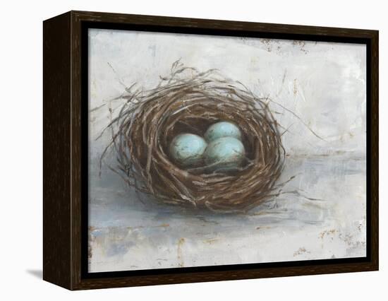 Rustic Bird Nest I-Ethan Harper-Framed Stretched Canvas