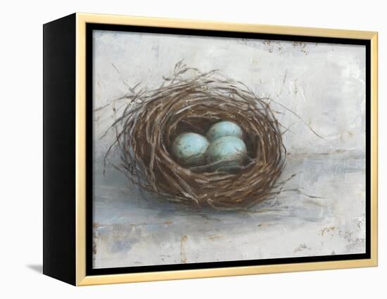 Rustic Bird Nest I-Ethan Harper-Framed Stretched Canvas