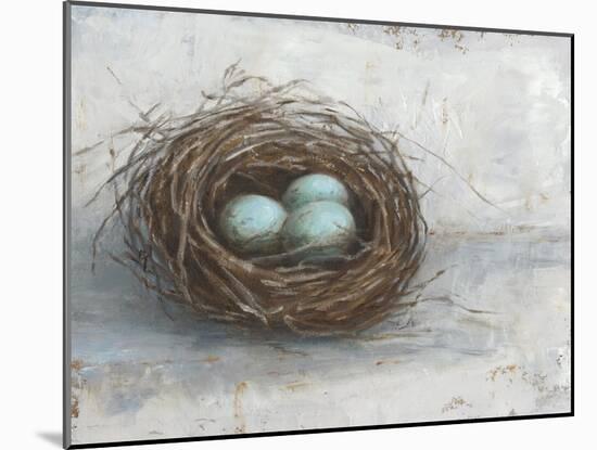 Rustic Bird Nest I-Ethan Harper-Mounted Art Print