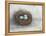 Rustic Bird Nest I-Ethan Harper-Framed Stretched Canvas