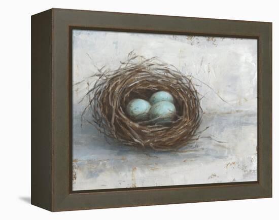 Rustic Bird Nest I-Ethan Harper-Framed Stretched Canvas