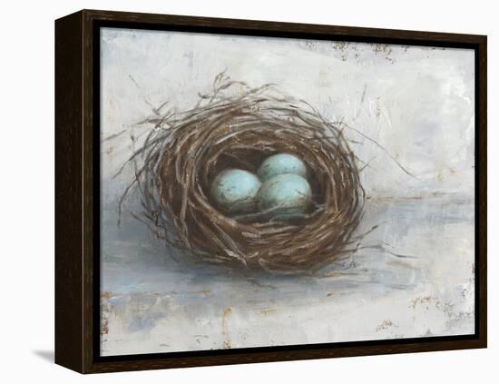 Rustic Bird Nest I-Ethan Harper-Framed Stretched Canvas