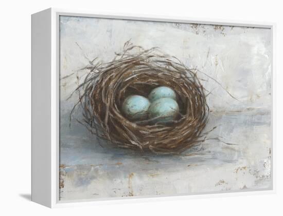 Rustic Bird Nest I-Ethan Harper-Framed Stretched Canvas