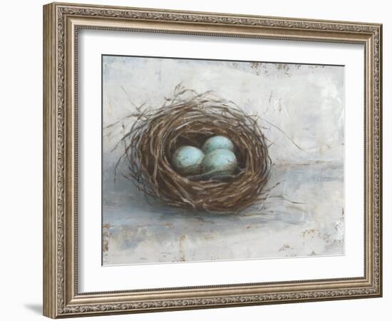 Rustic Bird Nest I-Ethan Harper-Framed Art Print