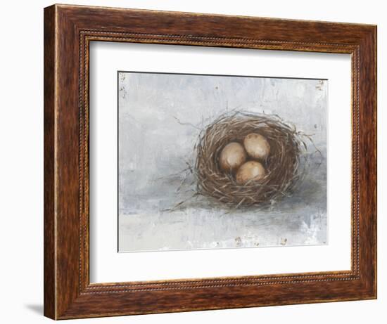 Rustic Bird Nest II-Ethan Harper-Framed Premium Giclee Print