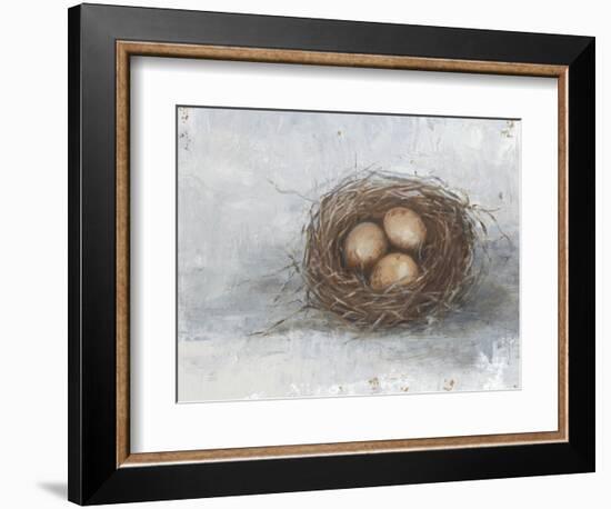 Rustic Bird Nest II-Ethan Harper-Framed Premium Giclee Print