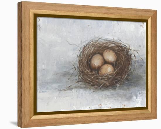 Rustic Bird Nest II-Ethan Harper-Framed Stretched Canvas